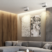 无主灯led明装筒灯双头吸顶射灯客厅过道方形cob格栅灯斗胆豆胆灯