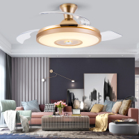 风扇灯吊扇灯 客厅餐厅卧室隐形家用静音电扇灯带风扇吊灯