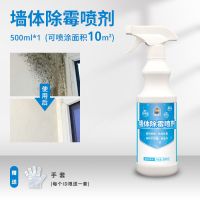 除霉剂1瓶【墙体墙纸】|墙体除霉剂白墙发霉去霉点霉斑清洁剂除霉剂除霉啫喱除霉神器