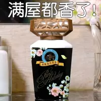 巴黎假日|室内香薰空气清新剂固体清香剂熏家用厕所除臭神器新车异味