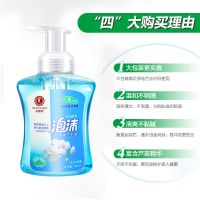 [买一次用一年]洁厕灵蓝泡泡马桶清洁剂洁厕宝强效卫生间除臭剂 洗手液一瓶