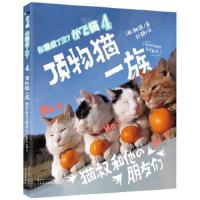 顶物猫一族 9787538570311 正版 (日) 白猫著 北方妇女儿童出版社
