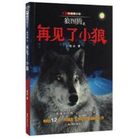 狼图腾之再见了小狼(影像青少版) 9787551416481 正版 姜戎 浙江摄影出版社