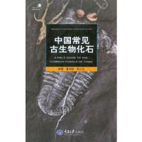 中国常见古生物化石 9787562481898 正版 唐永刚,邢立达 编著 重庆大学出版社