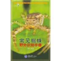 常见蜘蛛野外识别手册 9787562461661 正版 张志升 主编 重庆大学出版社