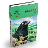 和乌鸦做邻居/动物小说大王沈石溪.品藏书系 9787534250019 正版 沈石溪 浙江少年儿童出版社