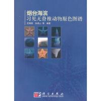 烟台海滨习见 无脊椎动物原色图谱 9787030277855 正版 王晓安等 科学出版社