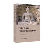 石质文物表面有害污染物清除技术研究 9787121359392 正版 齐扬 电子工业