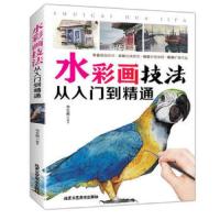 水彩画技法 9787514013689 正版 无 北京工艺美术出版社