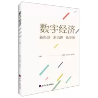 数字经济(新经济新治理新发展) 9787519601331 正版 徐晨