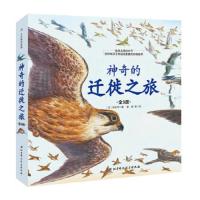 神奇的迁徒之旅 9787530493519 正版 铃木守 著; 姜微等 译 北京科学技术出版社