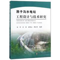 藤子沟水电站工程设计与技术研究 9787550920378 正版 郑军