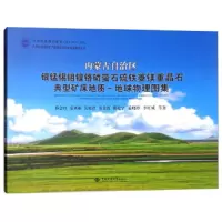 内蒙古自治区银锰锡钼镍铬磷萤石硫铁菱镁重晶石典型矿床地质-地球物理图集 9787562541103 正版 孙会玲、范
