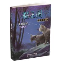 猫王国·暗黑王国.5,飞火流星 9787122320490 正版 凤青钗 著 化学工业出版社