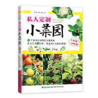 私人定制小菜园 9787533549688 正版 赵晶 福建科技出版社