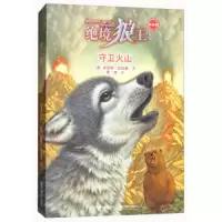 守卫火山 9787544853798 正版 凯瑟琳·拉丝基