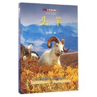 头羊(影像青少版) 9787551415033 正版 许廷旺 浙江摄影出版社