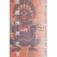西藏佛教密宗 9787802534506 正版 (英) 约翰·布洛菲尔德著 中国藏学出版社