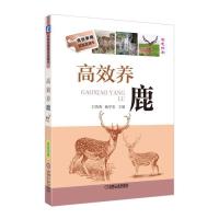 高效养鹿 9787111614944 正版 王凯英 杨学宏 机械工业出版社