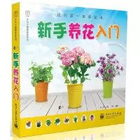 新手养花入门 9787121119699 正版 汉竹 电子工业出版社