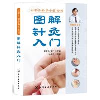 图解针灸入门 9787122300539 正版 尹爱兵,常红 主编 化学工业出版社