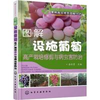 果树栽培修剪图解丛书--图解设施葡萄高产栽培修剪与病虫害防治 9787122320353 正版 房经贵 化学工业出版社