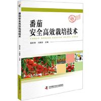 番茄安全高效栽培技术 9787504680211 正版 隋好林 王淑芬 中国科学技术出版社