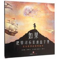 如果把银河系装进盘子里(复杂世界的简明绘本) 9787508657691 正版 (美)戴维·J·史密斯 著 中信出版社