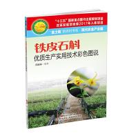 铁皮石斛优质生产实用技术彩色图说 9787535969453 正版 邱道寿 广东科技出版社
