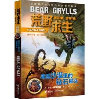 毒蝎沙漠里的钻石罐头 9787544834513 正版 贝尔·格里尔斯 接力出版社