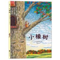 小橡树 9787550253476 正版 龟冈亚希子 著,李秀芬 译 北京联合出版公司
