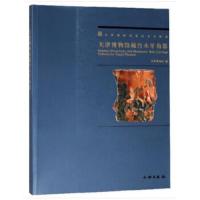 天津博物馆藏竹木牙角器 9787501055760 正版 徐春苓,张旭,摄影:靳挺,刘士刚 文物出版社