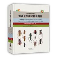 国家动物博物馆馆藏天牛模式标本图册 9787534977787 正版 林美英 编著 河南科学技术出版社