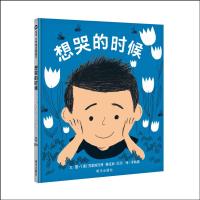 想哭的时候 9787533291020 正版 克里斯托弗·赛拉斯·尼尔 明天出版社