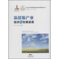 新能源产业现状与发展前景—2014国家出版基金项目《新 9787545439892 正版 白玫 朱彤 广东经济出版社