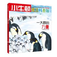 一大群的力量 9787550719033 正版 牛顿出版公司 海天出版社