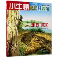 小牛顿魔法科普馆-蜥蜴·鳄鱼 9787550719118 正版 牛顿出版公司 海天出版社