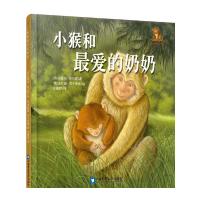 小熊小猴暖爱绘本系列 9787565512018 正版 (英)格蕾丝·斯万顿 著 刘耀辉 译 中国农业大学出版社