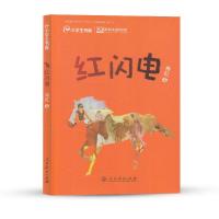 校园星阅读系列丛书 红闪电 9787107315442 正版 冉红 著 人民教育出版社