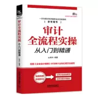 审计全流程实操从入门到精通 9787113245474 正版 么秀杰 中国铁道出版社