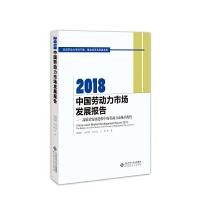 2018中国劳动力市场发展报告 9787303244423 正版 赖德胜 李长安 孟大虎 北京师范大学