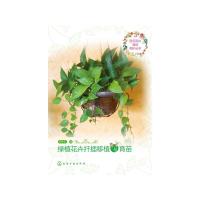 绿植花卉扦插移植与育苗 9787122288974 正版 徐帮学 编 化学工业出版社