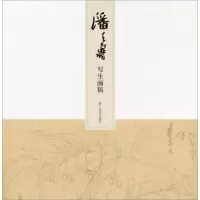 潘天寿写生画稿 9787534070167 正版 潘天寿 浙江人民美术出版社