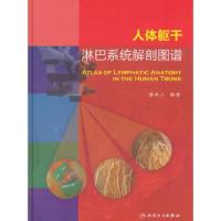 人体躯干淋巴系统解剖图谱 9787117197144 正版 潘伟人 编著 人民卫生出版社