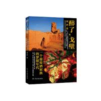 醉了,戈壁 ——一个葡萄酒家族的梦想年代 9787548614395 正版 刘沙 学林出版社