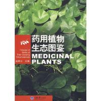 药用植物生态图鉴(好奇心书系) 9787562448242 正版 赵素云 主编 重庆大学出版社