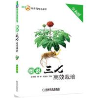 图说三七高效栽培 9787111566960 正版 崔秀明 杨野 刘迪秋 机械工业出版社