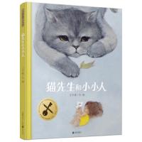 猫先生和小小人 9787559619099 正版 王宇葳