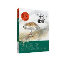 牝狼 9787556022403 正版 沈石溪 著,起点插画 绘 长江少年儿童出版社