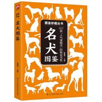 名犬图鉴-167种人气宠物犬的特征习性 9787553753645 正版 张海涛 江苏科学技术出版社